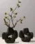 صورة The Moon Rock Vase